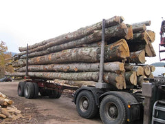 Bois de Chauffage Hêtre Premium (2m) - Camion 50 Stères