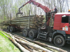 Bois de Chauffage Châtaignier (2m) - Camion 50 Stères